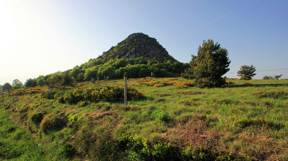 La Loire au Mont Gerbier-de-Jonc : secrets du plus grand fleuve de France